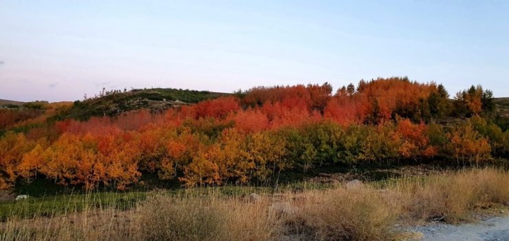 Nemrut Krater Gölünde sonbahar güzelliği
