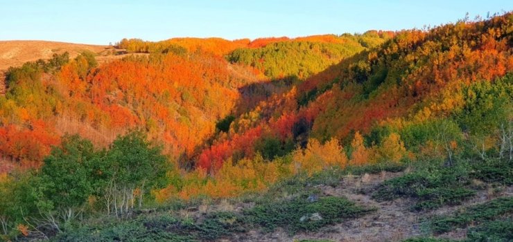 Nemrut Krater Gölünde sonbahar güzelliği