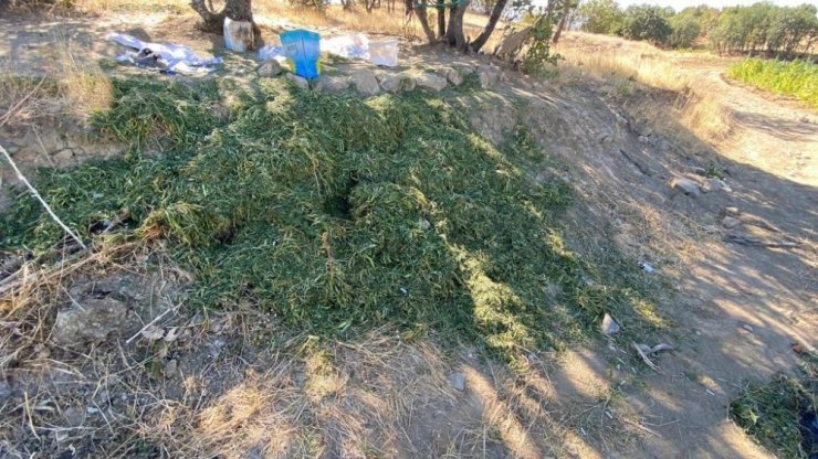 Diyarbakır’da 325 kilo esrar, 373 bin kök kenevir ele geçirildi