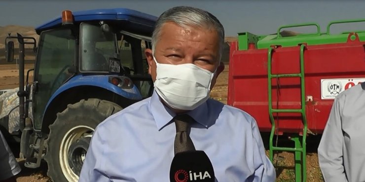 Develi’de kabak hasadı başladı