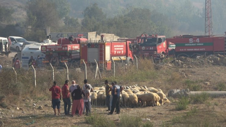 Hatay’da orman yangını yerleşim yerlerini tehdit ediyor