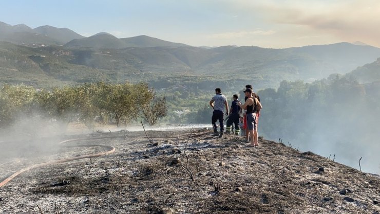 Hatay’da zeytin ağaçları kül oldu
