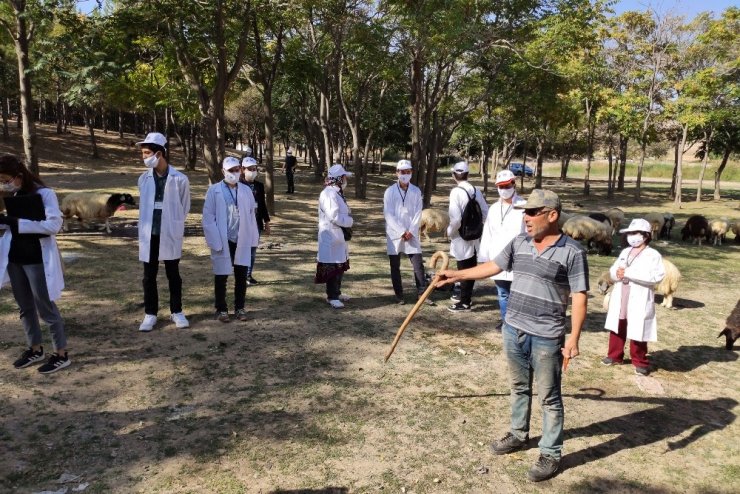 KMÜ öğretim üyesinin ‘Tarım engel tanımaz’ projesi sona erdi