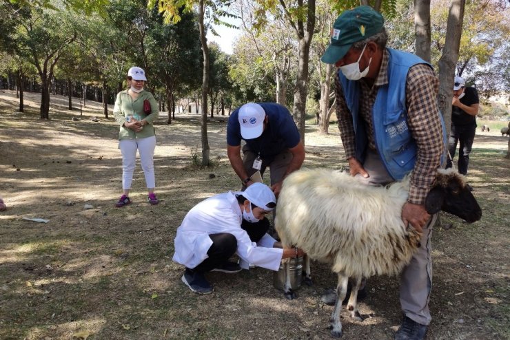 KMÜ öğretim üyesinin ‘Tarım engel tanımaz’ projesi sona erdi