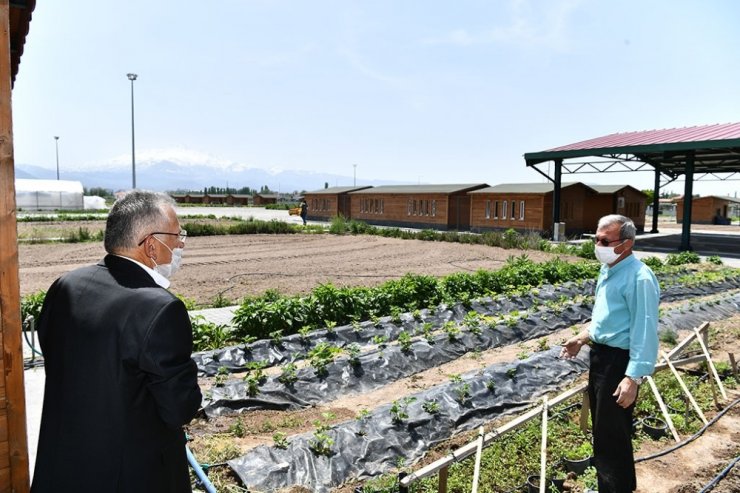 Hobi bahçelerinin kullanım hakkı 1 yıl uzatılacak