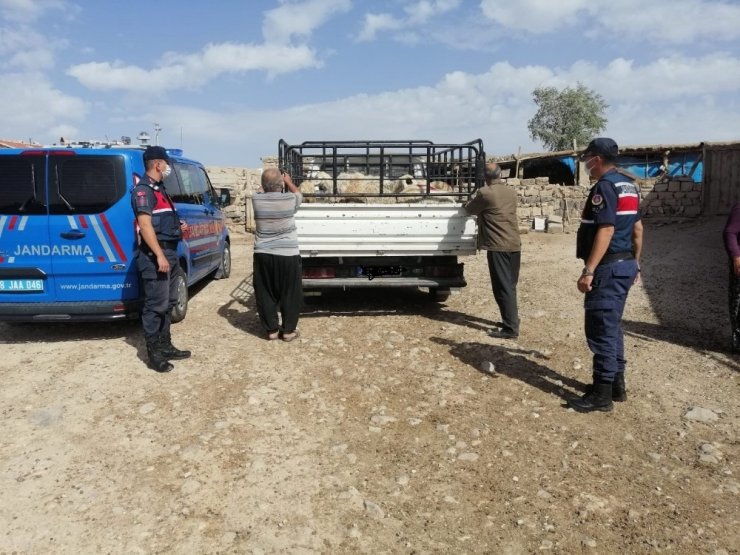 Küçükbaş hayvanları alıp kaçan şahıslar yakalandı