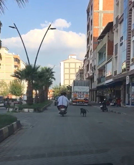Manisa’da pes dedirten görüntü