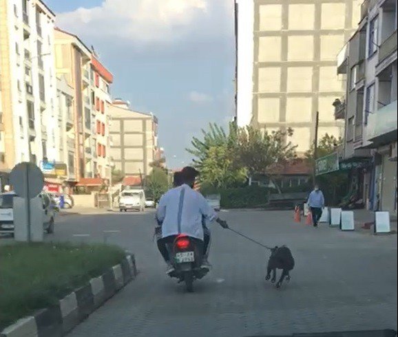 Manisa’da pes dedirten görüntü