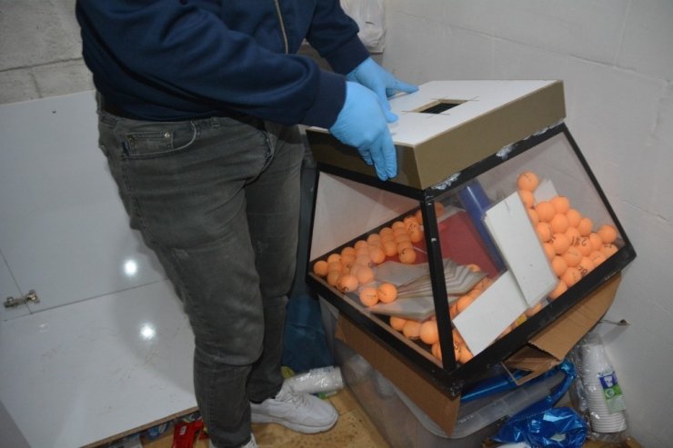 Nevşehir’de jandarma kumar baskını düzenledi