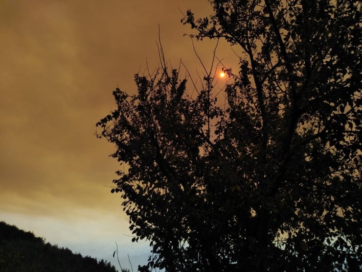 Suriye’de orman yangını çıktı, dumanı Samandağ’ı kapladı