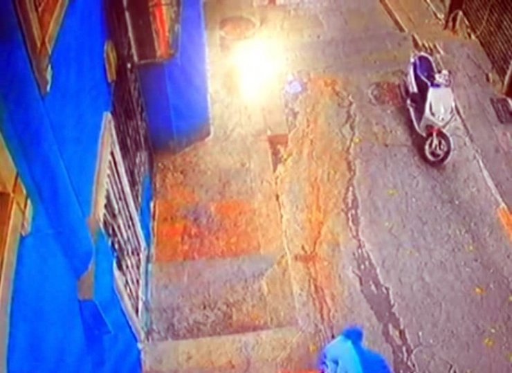 Çevre, Doğa ve Hayvanları Koruma Polisi, o görüntü üzerine harekete geçti