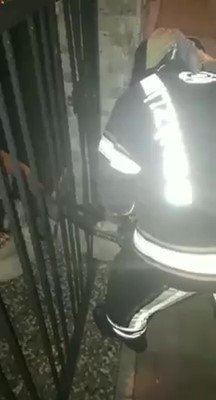 Demir parmaklıklara sıkışan yavru köpeği itfaiye ekipleri kurtardı