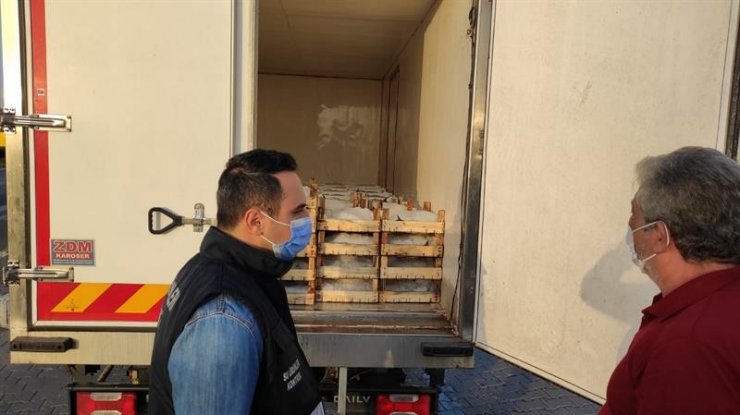 Su ürünleri denetimleri yapılıyor