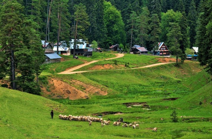 Düzce’nin yaylaları doğasever ve fotoğraf tutkunlarını bekliyor