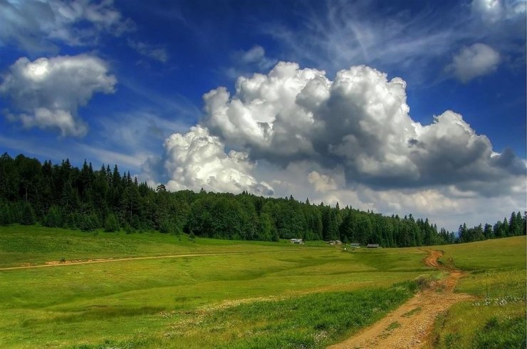 Düzce’nin yaylaları doğasever ve fotoğraf tutkunlarını bekliyor