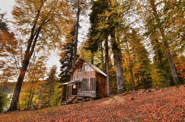 Düzce’nin yaylaları doğasever ve fotoğraf tutkunlarını bekliyor
