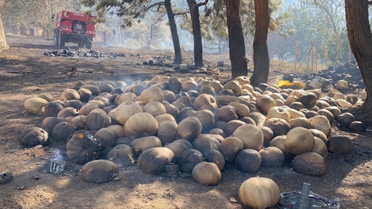 Yerleşim yerlerine de ulaşan yangın, fabrikaları büyük zarara soktu