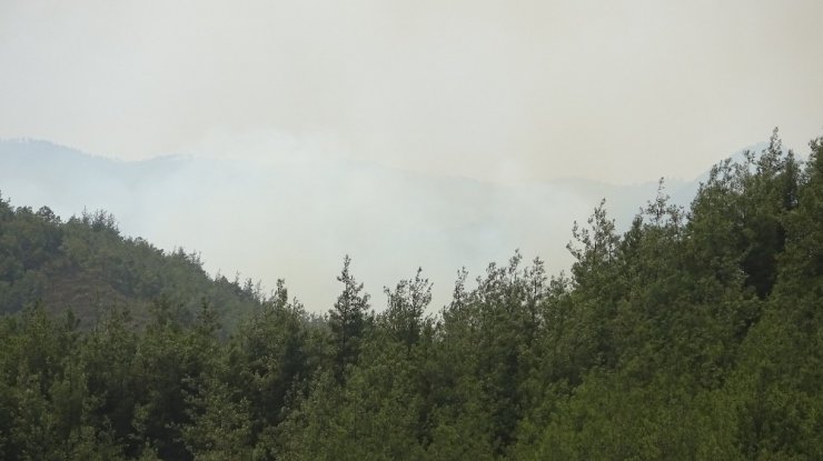 Hatay’ın Suriye sınırındaki orman yangını devam ediyor