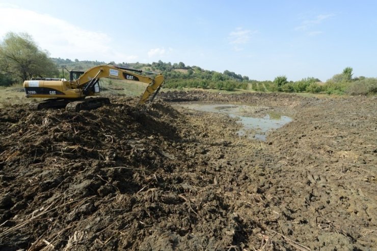 Dipsizgöl yeniden hayat buluyor