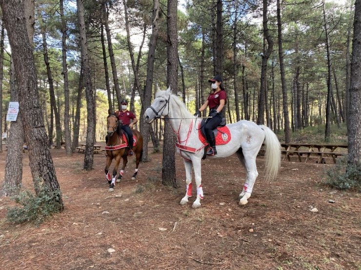 Yağmur sonrası Aydos Ormanı’nda atlı polislerden mangal denetimi