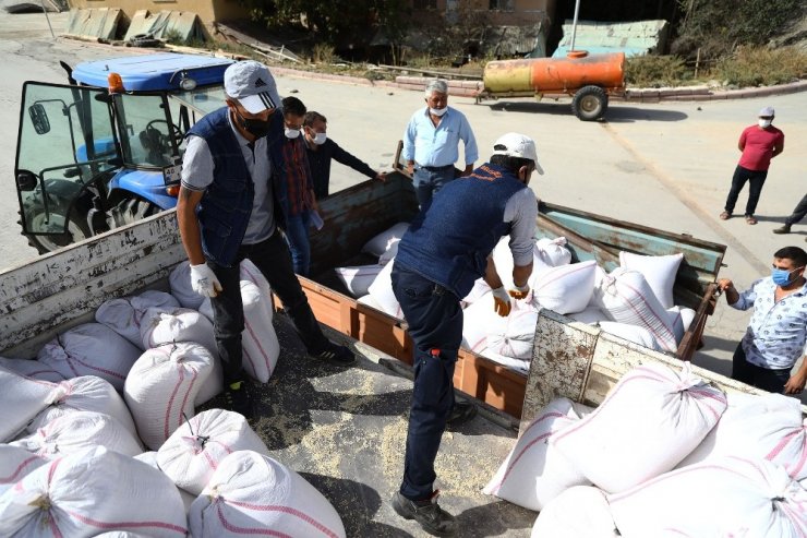 Keçiören Belediyesinden çiftçilere tohum desteği