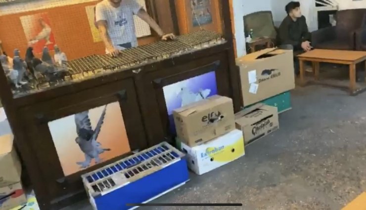 İstanbul’un göbeğinde “güvercin derneğine” kumar baskını kamerada