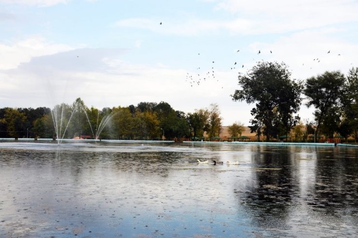 Sakaryabaşı tablo görünümüyle hayran bırakıyor
