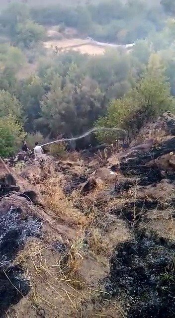 Adıyaman’da orman yangını korkuttu