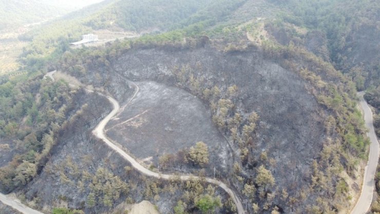 Hatay’daki orman yangınında 300 hektar alan zarar gördü