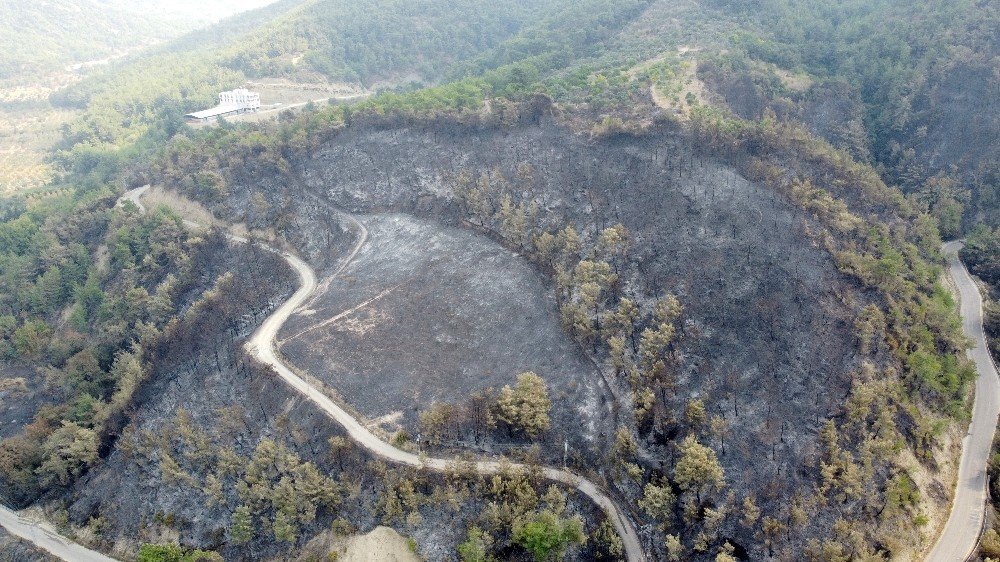 Hatay’da yanan alanlar havadan böyle görüntülendi