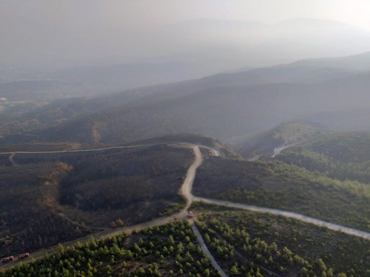 Hatay’da yangını soğutma çalışmaları sürüyor