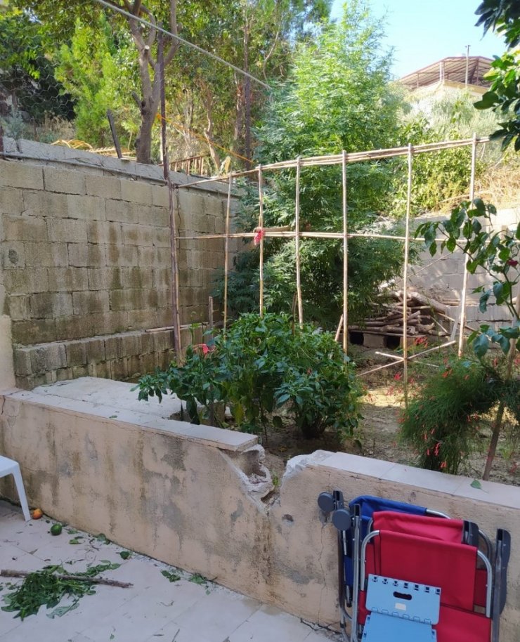 Hatay’da uyuşturucu operasyonları