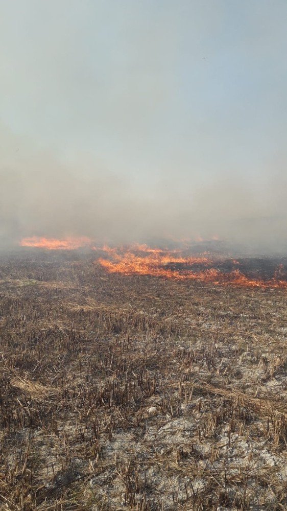 Sultan Sazlığı Kuş Cenneti’nde Yangın