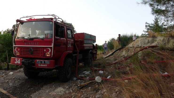 Mersin’de orman yangınında 2 hektar kızılçam zarar gördü
