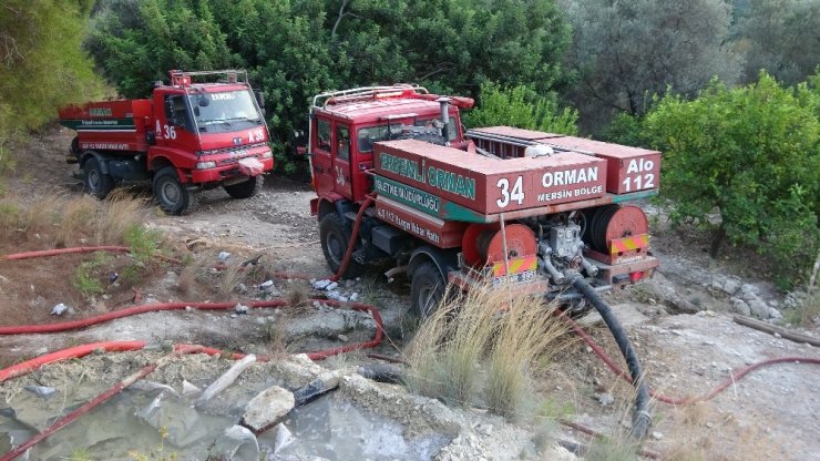 Mersin’de orman yangınında 2 hektar kızılçam zarar gördü