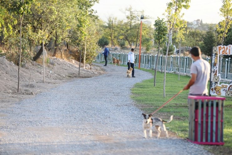 ‘Pati Yolu’na hayvan severlerden tam not