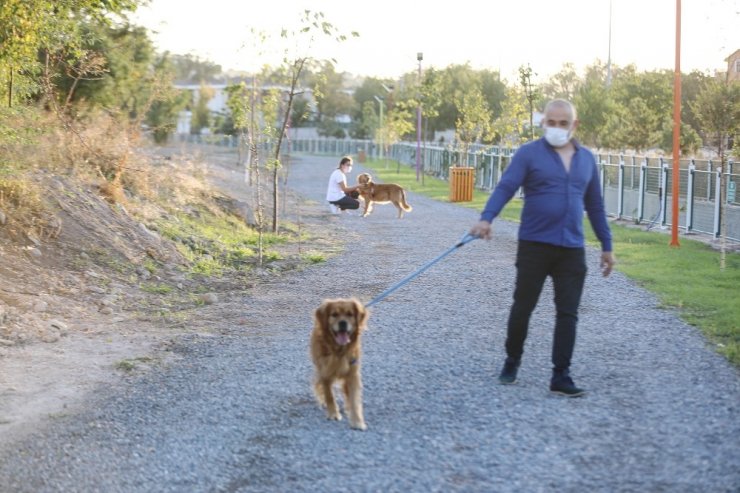 ‘Pati Yolu’na hayvan severlerden tam not