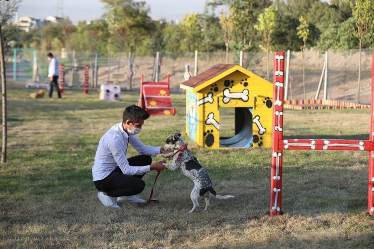 ‘Pati Yolu’na hayvan severlerden tam not
