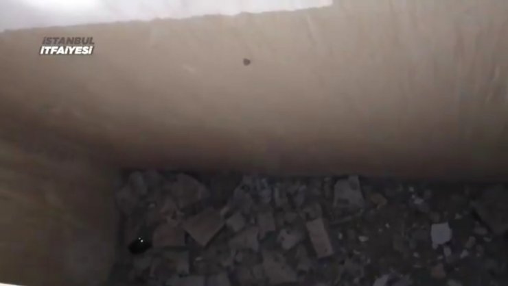 Ümraniye’de kedi kurtarma operasyonu kamerada