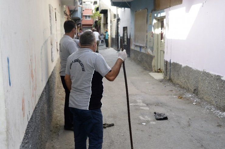 Adana’da pitbull operasyonu