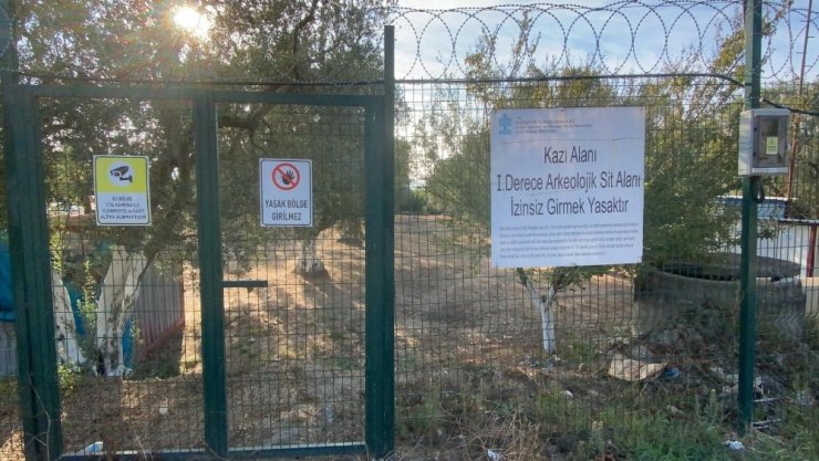 Zeytin tarlasında toplu mezar anlamına gelen Çatkı Mezar bulundu