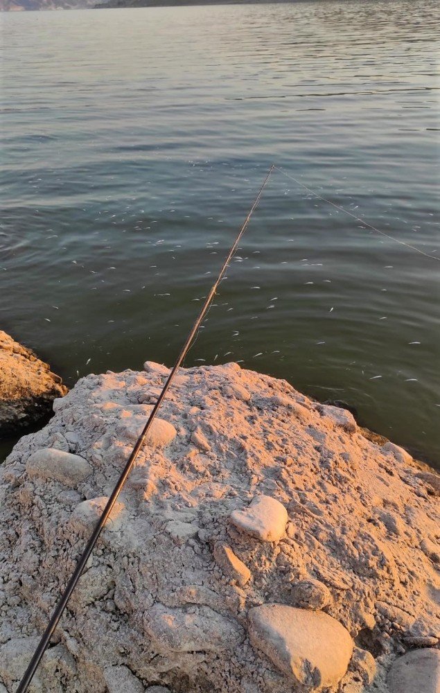 Balık ölümleri Eskişehir sınırına sıçradı