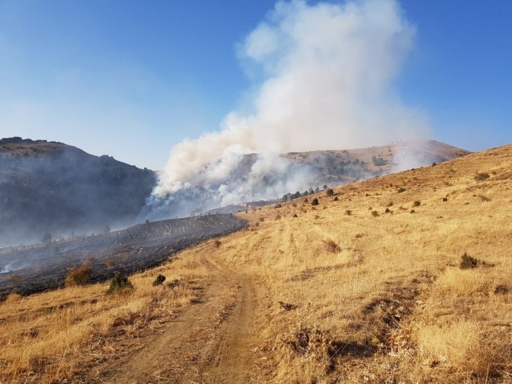 Sarız’da ormanlık alanda yangın çıktı