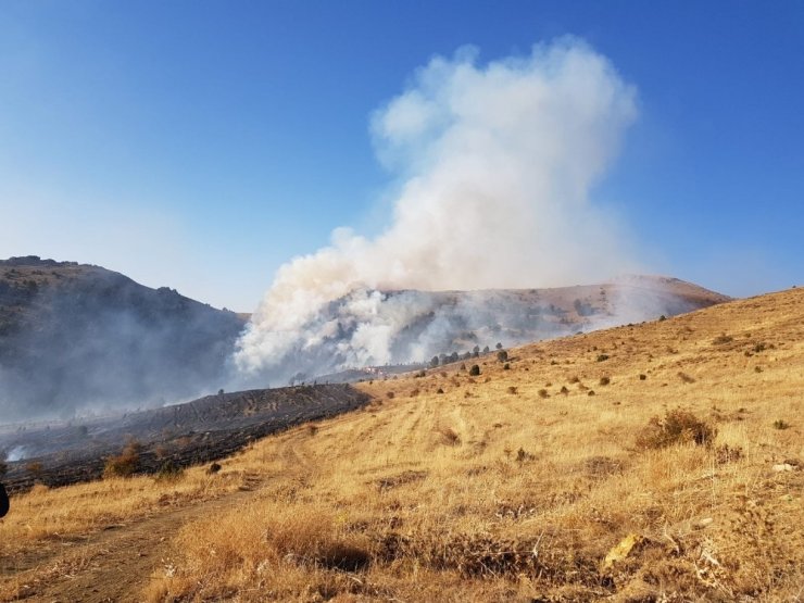 Sarız’da ormanlık alanda yangın çıktı