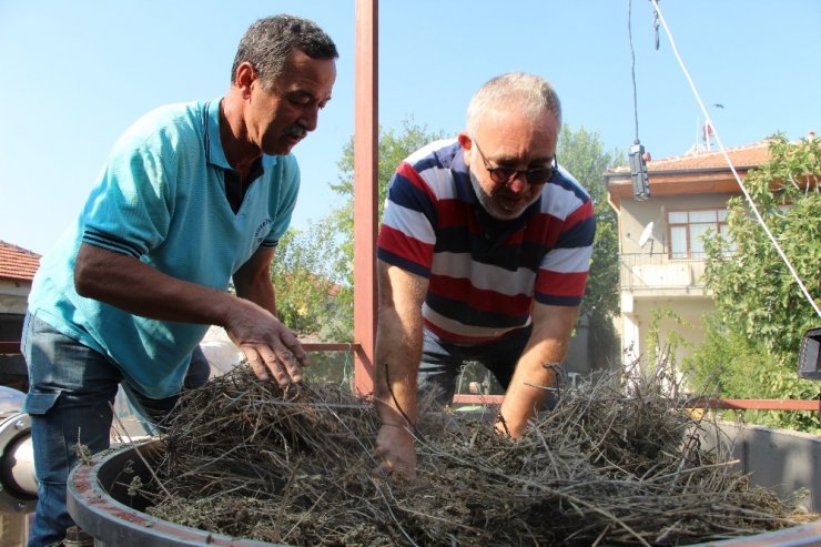 Korona virüsle mücadelede doğal dezenfektan: Kekik suyu