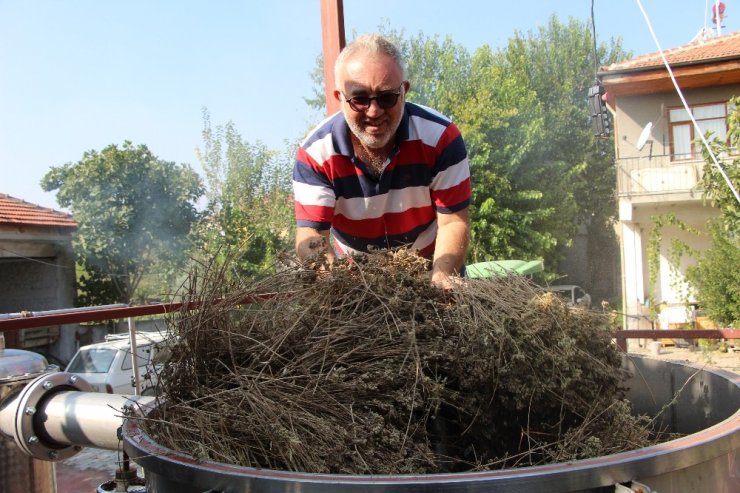 Korona virüsle mücadelede doğal dezenfektan: Kekik suyu