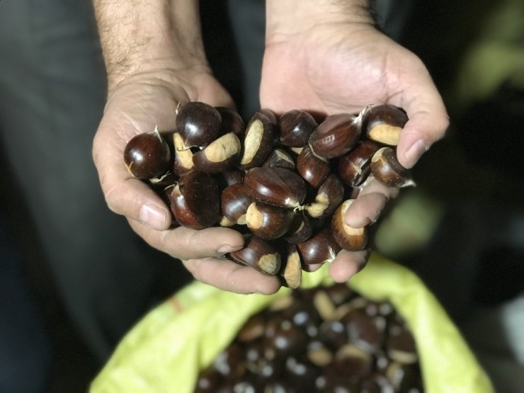 Türkiye’nin kestane pazarı kebapçılarla dolup taşıyor