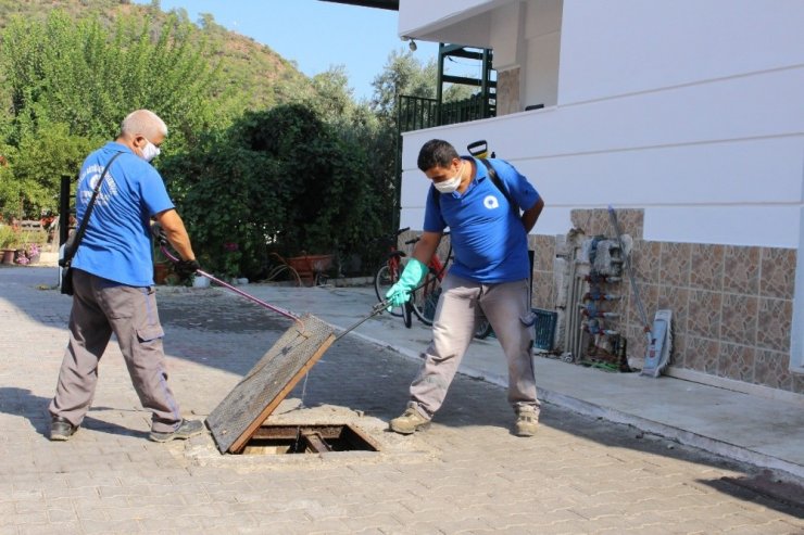 Sinekle mücadele hız kesmiyor