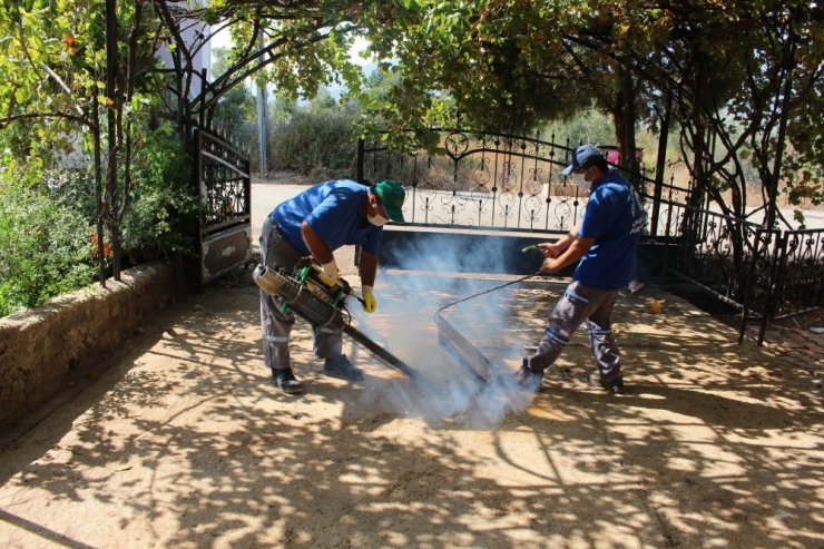 Sinekle mücadele hız kesmiyor