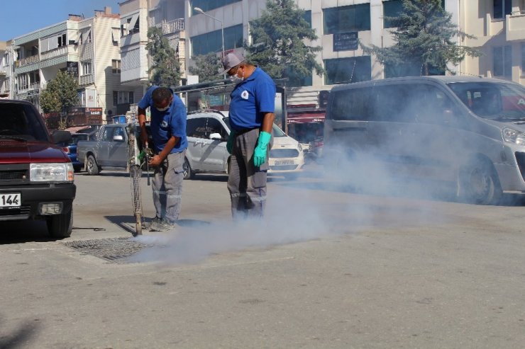 Sinekle mücadele hız kesmiyor